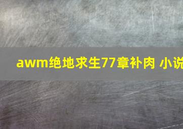 awm绝地求生77章补肉 小说